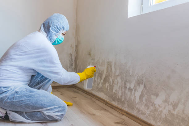 Hvac And Air Duct Mold Remediation inspection of HVAC system in Trenton